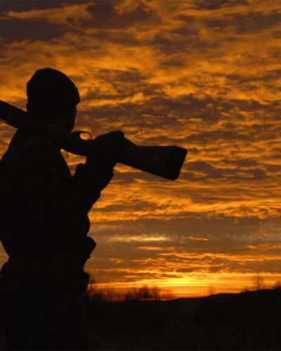 پی سی پی ایران پی سی پی ایران